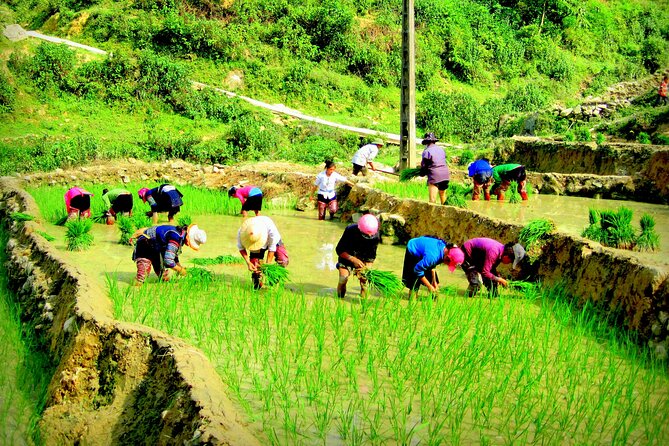 Sapa Hmong Family Trekking Adventures - Sapa Through a Hmong Family Routine