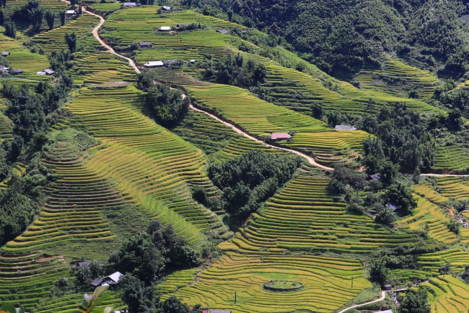 Sapa: Local Exploration on a Guided Motorbike Tour - Price and value: what $50–$80 buys you in Sapa