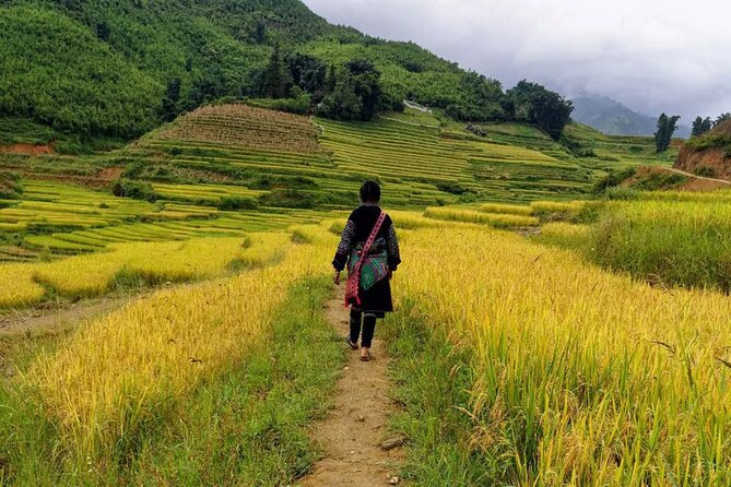 Sapa Local Trekking Adventures - Day 3 (Giang Ta Chai Village): the longest option for true trekking time