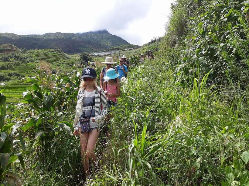 Sapa: Love Silver Waterfall, LonelyTree in Heaven-Rice Field - Price and Value: Is $62 Worth It?