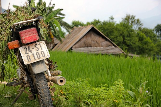 Sapa Motorbike Tour 1 Day| See All Of Rice Fields & Valleys in One Day - Ta Van Village: where the valley feels lived-in