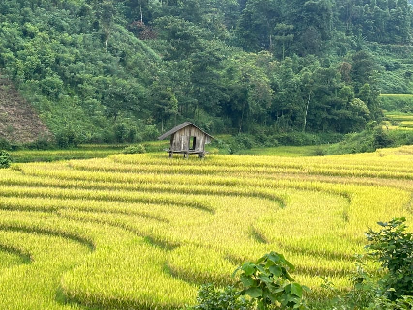 Sapa: Motorbike Tour 1 Day Visit Waterfalls & Local Villages - Meeting a Black Hmong family: clothes, daily life, and questions