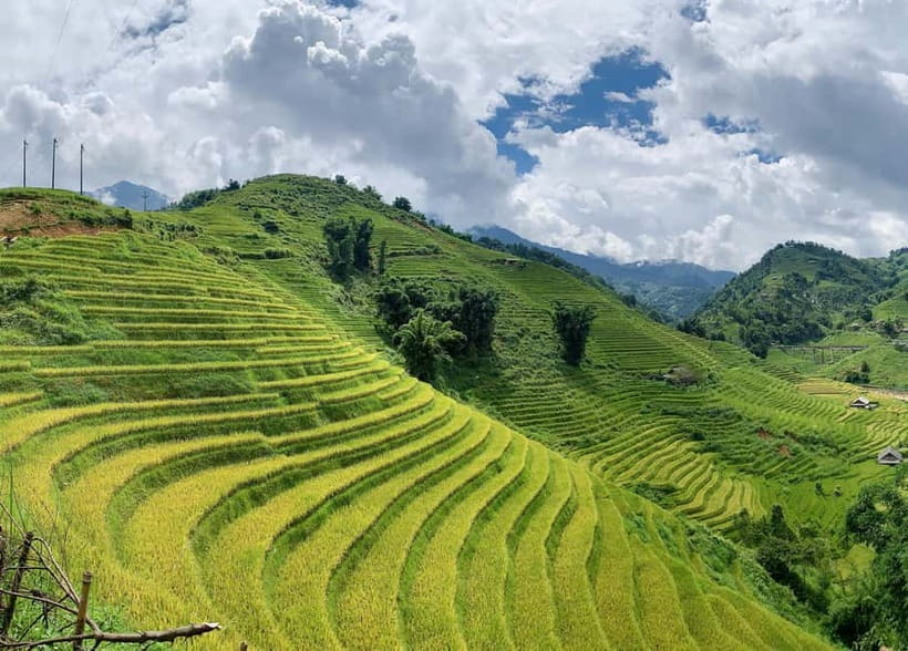 Sapa: Motorbike Tour to Hidden Villages & Terraced Fields - Ta Van, Lao Chai, and Y Linh Ho: famous terraces, calmer pacing