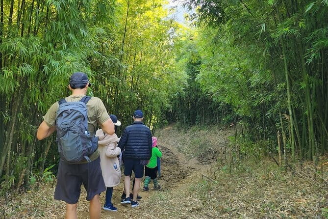 Sapa Mountain Escape: 2-Day Trekking, Rice Terraces & Homestay - Price and value: what $80 covers and why it adds up