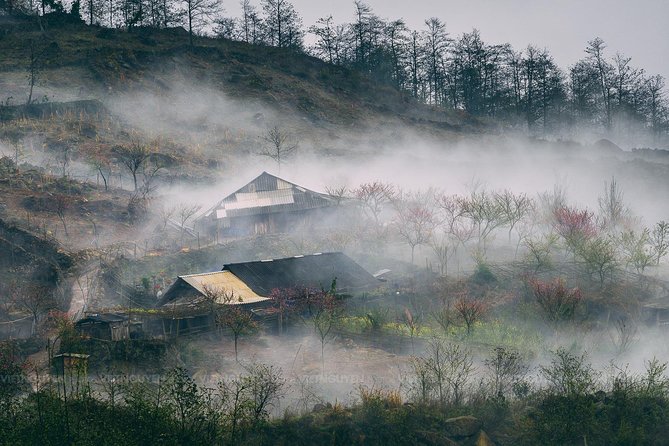 Sapa Mountain View and Villages Trek - Why the Guide Matters Here: The Gio Factor