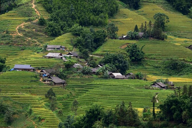 Sapa Muong Hoa Valley & Ta Van Eco Village Scenic Tour (No Trek) - Timing, meeting point, and what to expect day-of