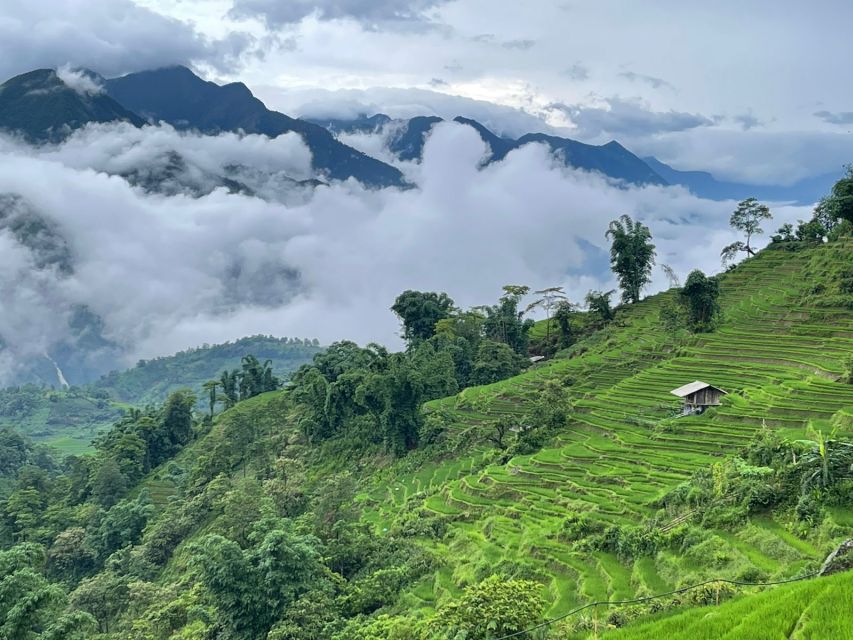 Sapa One Day Motorbike Tour - Key Points Before You Go