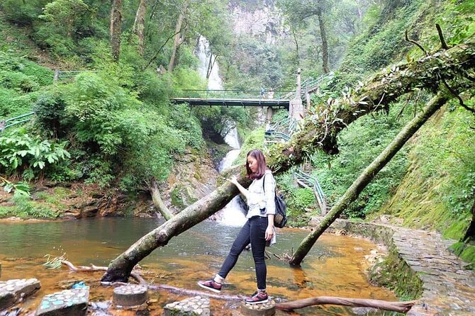 Sapa Private Car Tour to Silver & Love Waterfalls and Lonely Tree - Why Silver Falls, Love Waterfall, and the Lonely Tree fit together