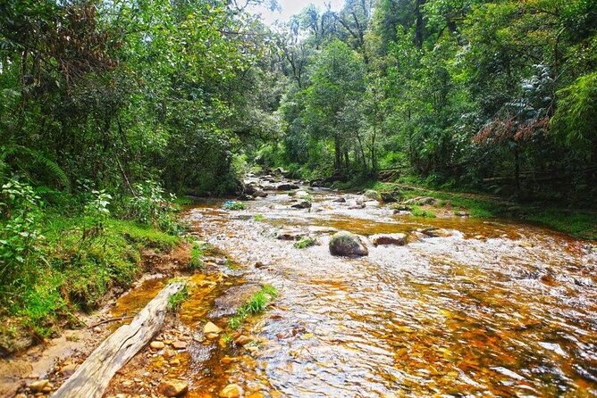 Sapa Private Car Tour to Silver & Love Waterfalls and Lonely Tree - Stop 2: Love Waterfall for 1.5 hours