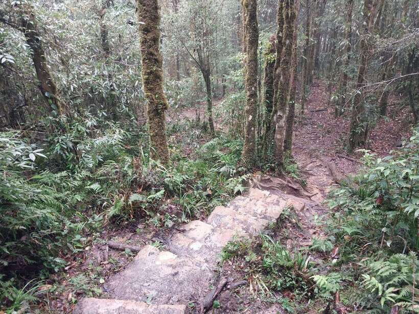 Sapa: Private Highlights Day Tour with Lunch - Who this private tour is best for