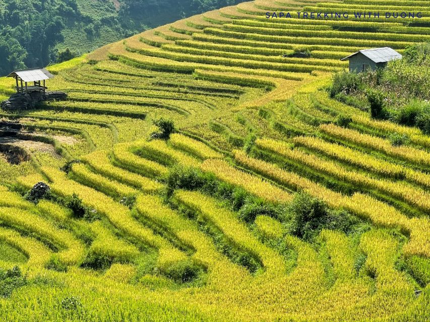 Sapa: Private Muong Hoa Valley and Homestay Trekking 2-Day - What Makes This Muong Hoa Trek Different From the Usual Sapa Tour
