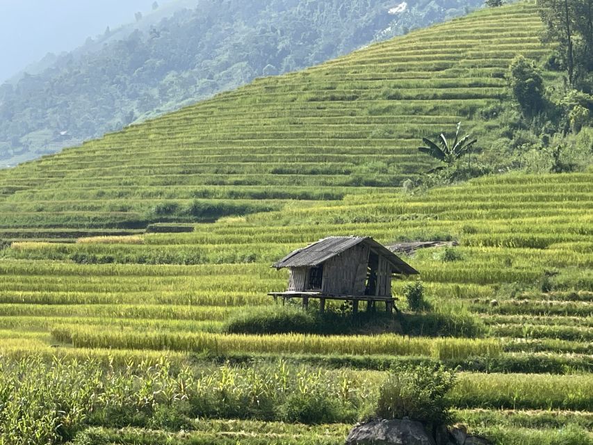 Sapa: Private Muong Hoa Valley and Homestay Trekking 2-Day - Guides Like Du (Zu) and Pang Chou: What to Look For