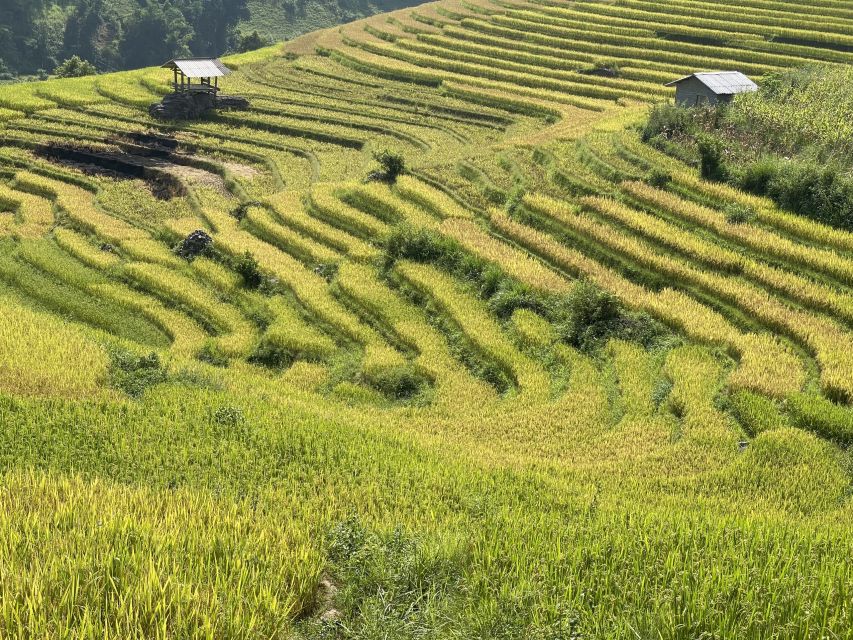 Sapa: Private Muong Hoa Valley and Homestay Trekking 2-Day - Who Should Book This Private Muong Hoa Trek?