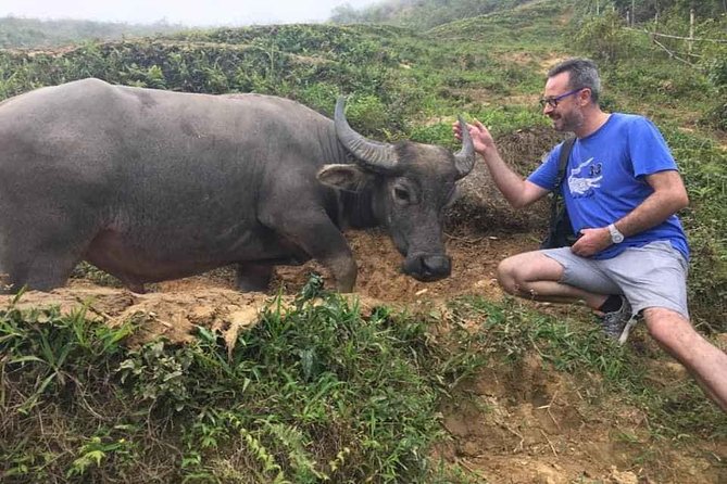 Sapa private: One day of funny Buffalo Ride & Trekking Tour - Meeting point and the 5-hour private-day rhythm