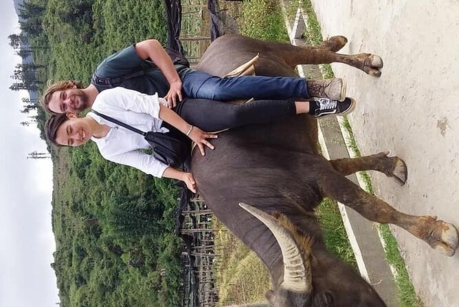 Sapa private: One day of funny Buffalo Ride & Trekking Tour - From the start to Suoi Ho: gardens, rice fields, and Black Hmong village life