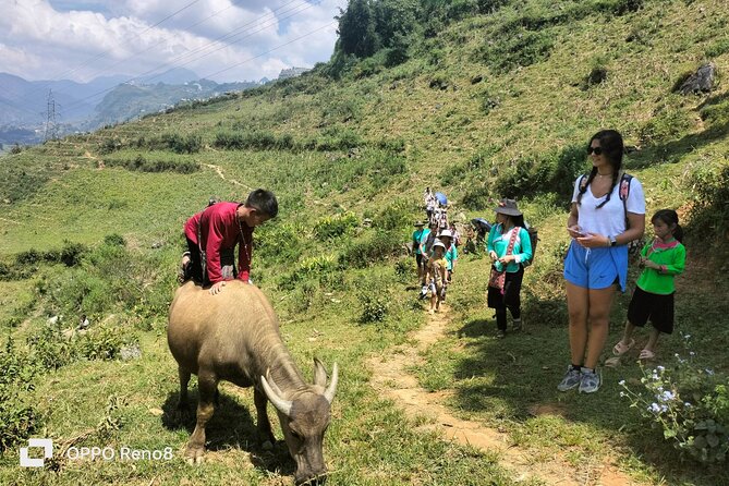 Sapa private: One day of funny Buffalo Ride & Trekking Tour - Continuing toward Xa Xeng: Red Dao communities and a broader view