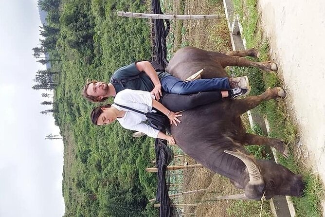 Sapa private: One day of funny Buffalo Ride & Trekking Tour - Price and value: what $80 really buys you in Sapa