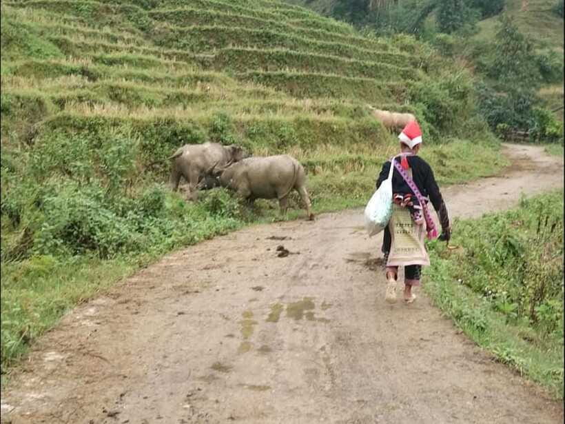 Sapa: Private trek to Muong Hoa Valley - Transportation and the private-car finish: a smart way to avoid fatigue