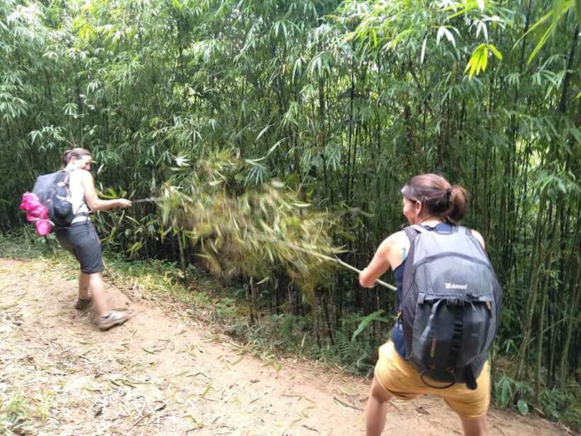Sapa: Private trek to Muong Hoa Valley - Price and value: what $47 really covers on this route