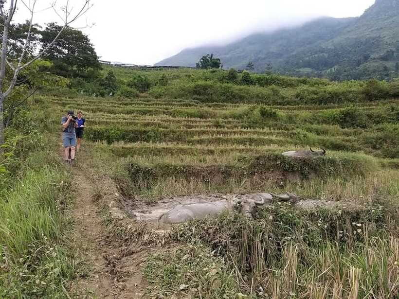 Sapa: Private trek to Muong Hoa Valley - What to bring: shoes, clothes, and why slippers are a bad idea