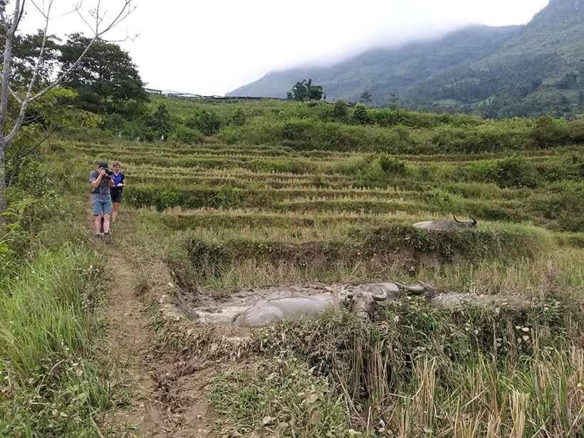 Sapa: Private trek to Muong Hoa Valley - Black Hmong villages and daily life you can actually see