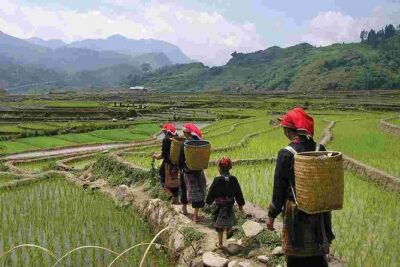 Sapa Private Trekking Through Rice Terraced Fields - 1Day - Walking route highlights: from Y Linh Ho toward Ta Van