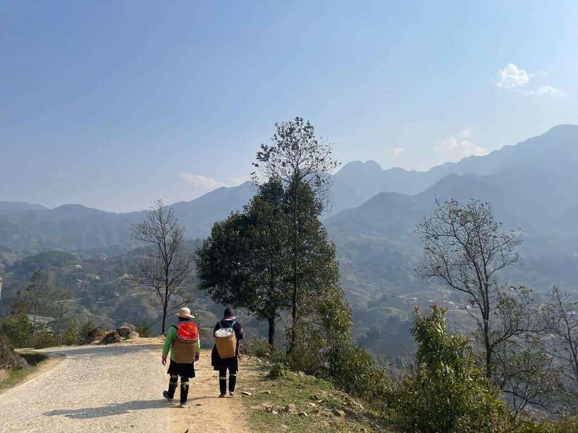 Sapa Silver Waterfall And O Quy Ho Pass Tour By Motorbike - O Long tea plantations and roadside farm life
