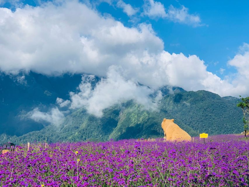 Sapa: Sunworld Fansipan Legend Ticket - Price and value: is $46 worth it?
