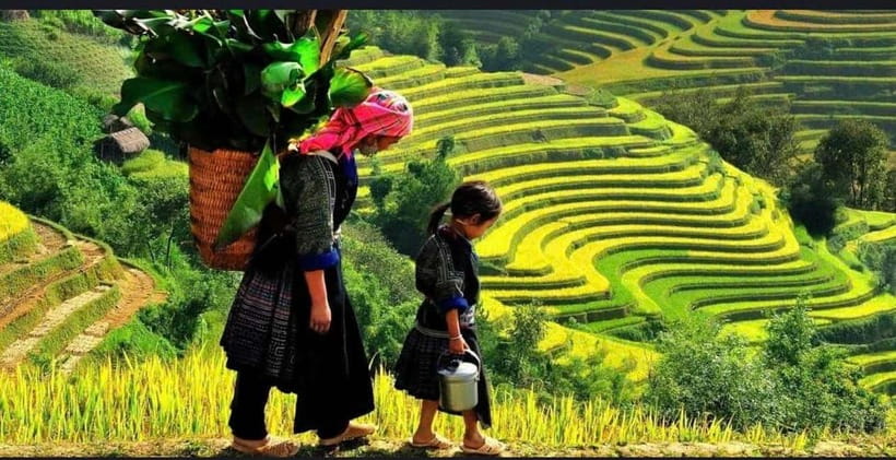 Sapa: Ta Phin Village Trek & Red Dao Herbal Bath - Why the Suoi Ho–Ma Tra–Ta Phin Route Feels More Real Than Easy Sapa Day Hikes