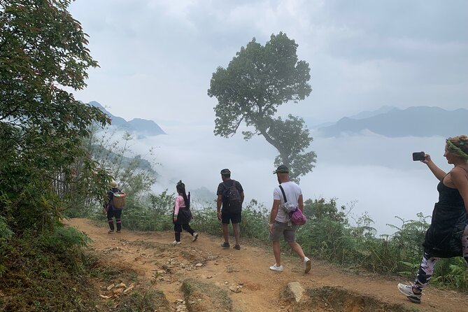 Sapa The Hidden Trail Trek 1 Day - Mountain & Rice Valley - Starting in Sapa at 9:00am: pickup and first impressions
