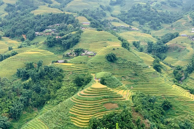 Sapa The Hidden Trail Trek 1 Day - Mountain & Rice Valley - Ham Rong Mountain and the Dragon Jaw viewpoints: the part that earns the photos