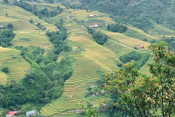 Sapa The Hidden Trail Trek 1 Day - Mountain & Rice Valley - Hau Chu Ngai area, bamboo paths, and the down-valley feel