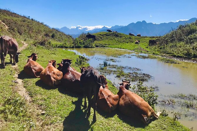 Sapa The Hidden Trail Trek 1 Day - Mountain & Rice Valley - How hard is it really? Steps, mud, and what to pack