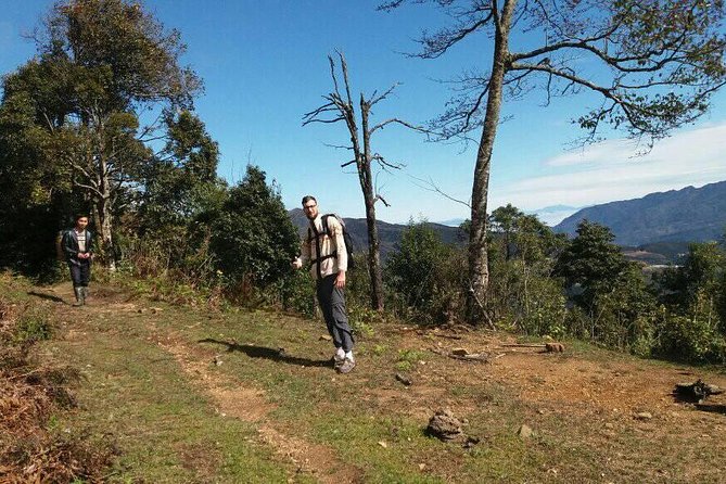 Sapa Tour: 2-Day Fansipan Trekking - Day 2: summit time, then the descent back to Tram Ton