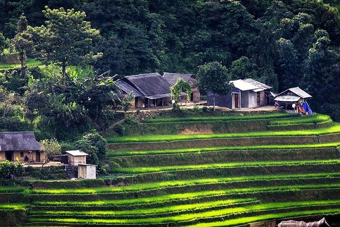Sapa Tours 2D1N stay At 4 stars hotel nice Sleeping Bus TRANSFER - Day 1 lunch-to-dinner flow: how the schedule keeps energy steady
