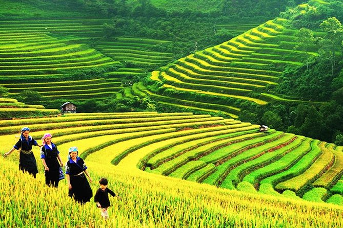 Sapa Tours 2D1N stay At 4 stars hotel nice Sleeping Bus TRANSFER - Sapa base: 4-star hotel sleep and meals that keep you hiking