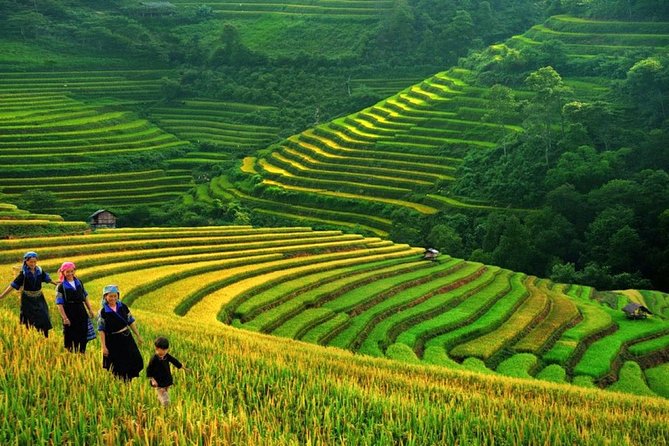 Sapa Trek Tours -2D1N Stay At 3*** -TRANSFER BY SLEEPING BUS - A 2-Day Sapa plan that starts with real movement