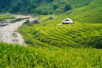 Sapa Trekking 3 Days 2 Nights (Homestay) - Departure From Hanoi - Day 1: Y Linh Ho to Ta Van—black H’mong country and field-path hiking