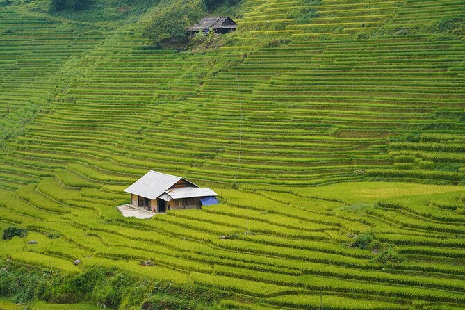 Sapa Trekking 3 Days 2 Nights (Homestay) - Departure From Hanoi - What you’re paying for: price vs. real value at about $98.74