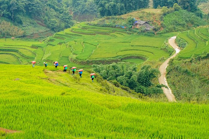 Sapa Trekking 3 Days 2 Nights (Homestay) - Departure From Hanoi - The guide, the pace, and handling “seller attention” on the trail
