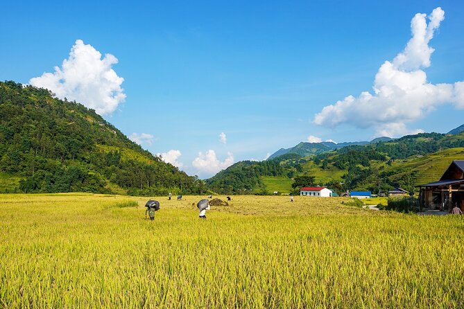 Sapa Trekking 3 Days 2 Nights (Homestay) - Departure From Hanoi - Small details that can make or break your comfort