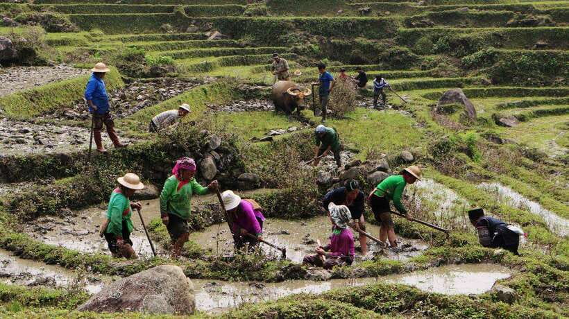 Sapa Trekking Bargains With Local Guide - Key highlights I’d circle before you go