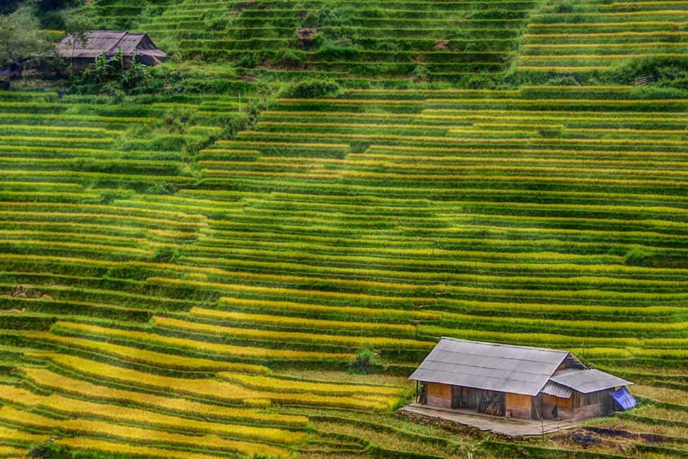 Sapa Trekking Bargains With Local Guide - Why this Sapa village trek feels different from the usual day tours