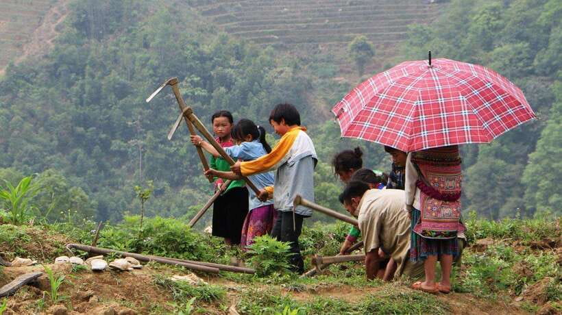 Sapa Trekking Bargains With Local Guide - Village-by-village: Y Linh Ho, Lao Chai, and Ta Van on foot