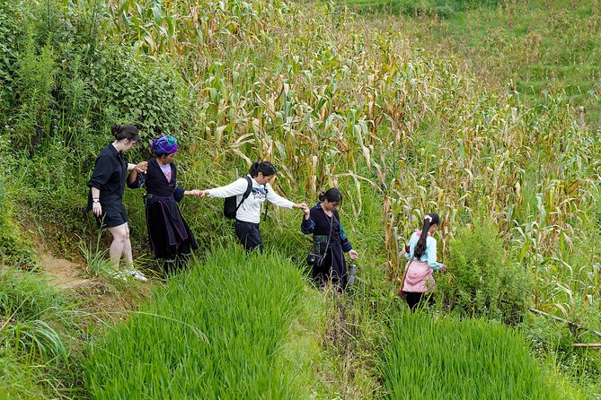 Sapa Trekking & Homestay 2 Days 1 Night - Getting From Hanoi: Early Pickup and a Long-but-Comfy Bus Ride