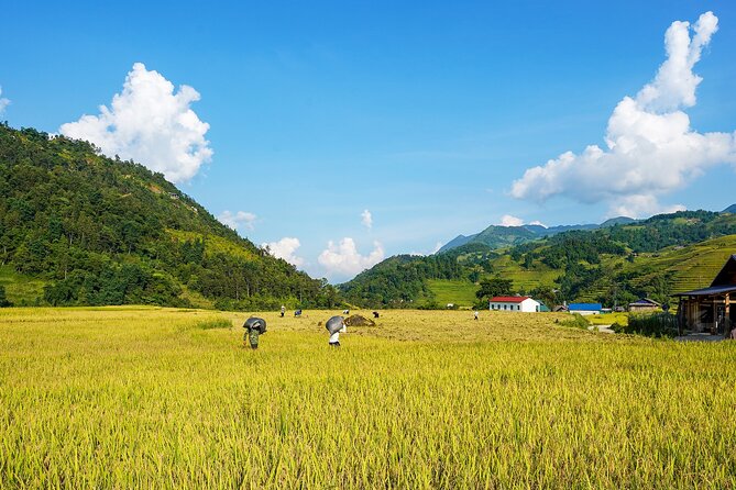 Sapa Trekking & Homestay 2 Days 1 Night - Price and Logistics: How $53.75 Stacks Up