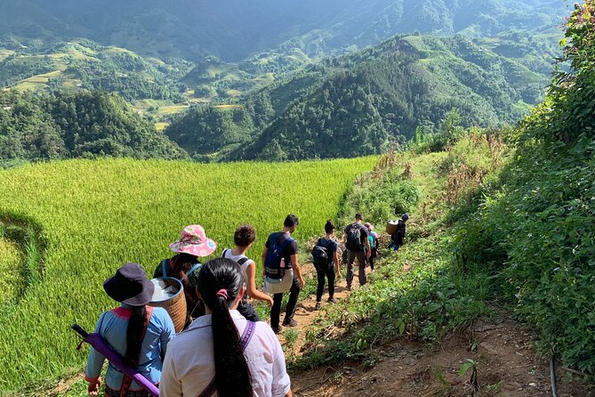 Sapa Trekking Tour 2 Days 1 Night By Bus - Price and Logistics: What $85 Actually Buys You