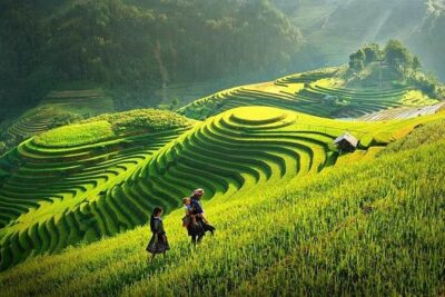Sapa Trekking Tour 2 Days 1 Night By Bus - Hanoi-to-Sapa Overnight: Sleeping Bus Comfort and Realistic Timing