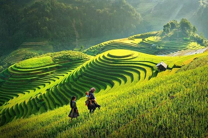 Sapa Trekking Tour 2 Days 1 Night By Bus - Hanoi-to-Sapa Overnight: Sleeping Bus Comfort and Realistic Timing