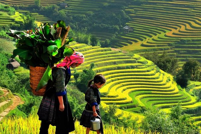 Sapa Trekking Tours - 2 Days 1 Night Stay At Homestay - Key things to know before you go
